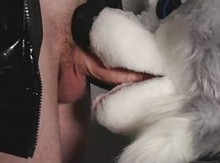 Furry close up Blowjob 4K