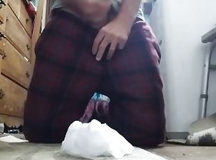 Toilet jerk off