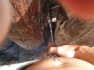 Hapa Lee takes a leak at the beach