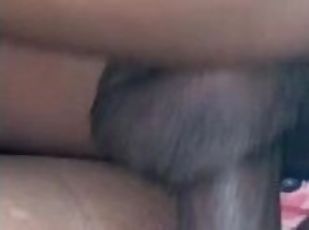 BBC fucking a fat pretty pussy up close