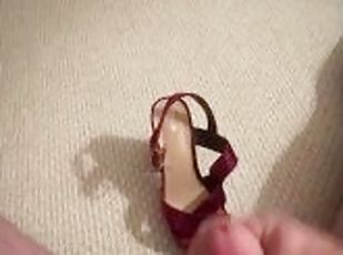 Covering Wife’s Sexy Shoe with Cum