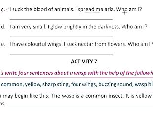 Write four sentence about a wasp Solve by Bikash Edu care