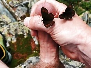 Outdoor-Masturbation und Cumshot - Schmetterlinge sind live dabei